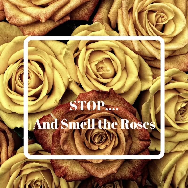 Stopping to Smell the (Social Media) Roses - Sydne Style